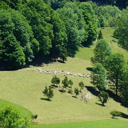 Ferienhaus Heck *